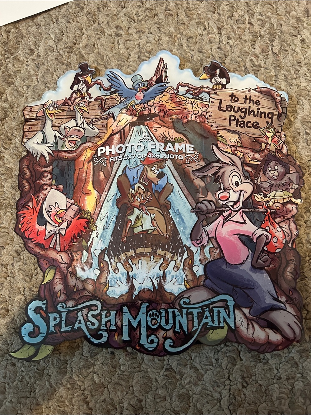 NWT Splash Mountain Photo Frame